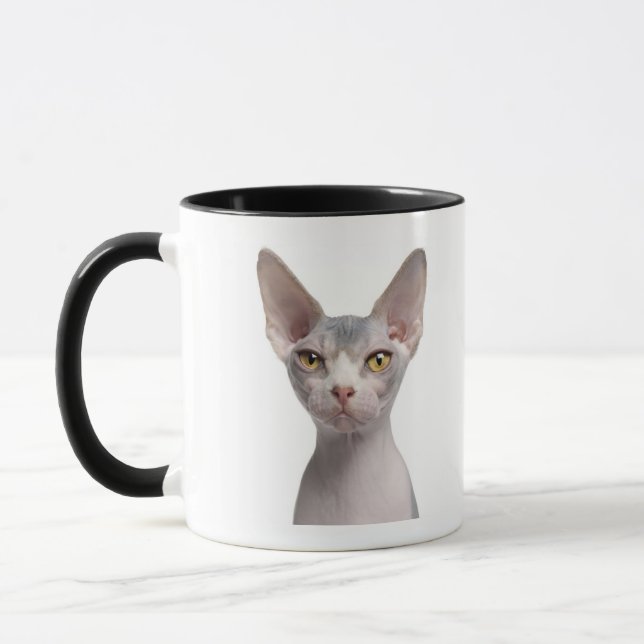 Sphynx (7 gammala månader) mugg (Vänster)