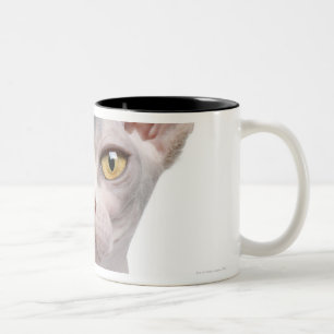 Sphynx (7 gammala månader) Två-Tonad mugg
