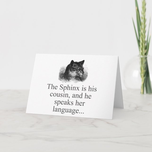 Sphynx är hans kusin kort (Framsida)