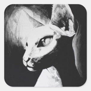 Sphynx Cat Black White Contrast Hairless Kattunge  Fyrkantigt Klistermärke