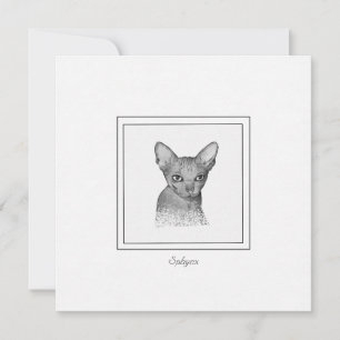 Sphynx Cat Chalk Teckning-anteckningskort Anteckningskort