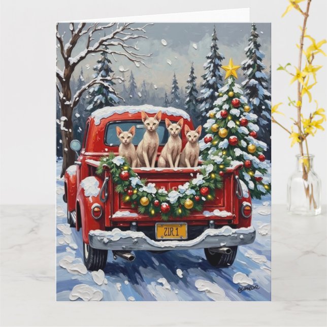 Sphynx Cat Christmas Red Truck Holiday Kort (Gul blomma)