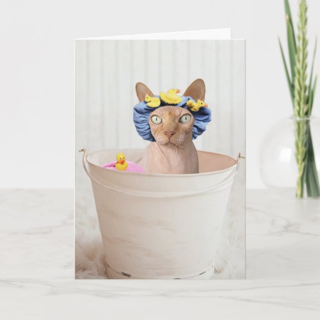 SPHYNX CAT (HAIRLESS) FUNNY CAT FÖDELSEDAGSKORT KORT (Framsida)