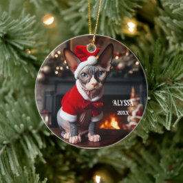 Sphynx Cat i jultomten Julgransprydnad Keramik