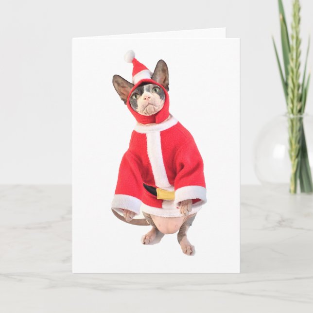 Sphynx Cat-julkort Helgkort (Framsida)