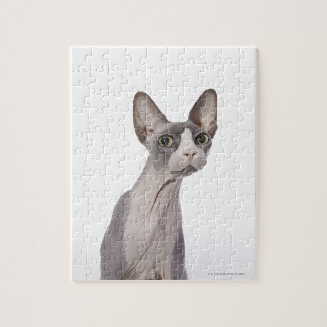 Sphynx Cat med överraskat uttryck Pussel (Vertikal)
