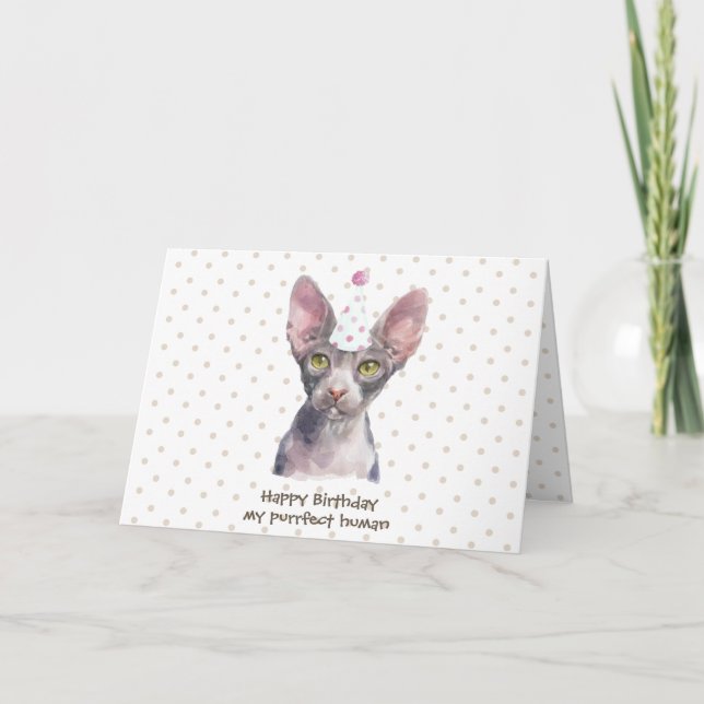 Sphynx Cat med Party Hat Kort (Framsida)