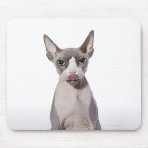 Sphynx Cat med tunga ut Musmatta