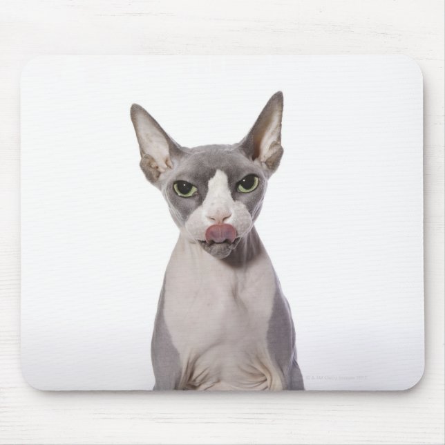 Sphynx Cat med tunga ut Musmatta (Framsidan)