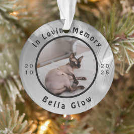 Sphynx Cat Memorial Silver Remembrance Art