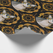 Sphynx Cat Ninja Black och Guld Retro Stil