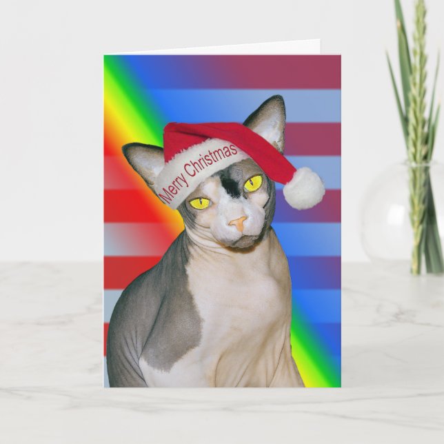 Sphynx Cat Ninja Santa jul Rainbow Kort (Framsida)