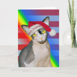 Sphynx Cat Ninja Santa jul Rainbow Kort