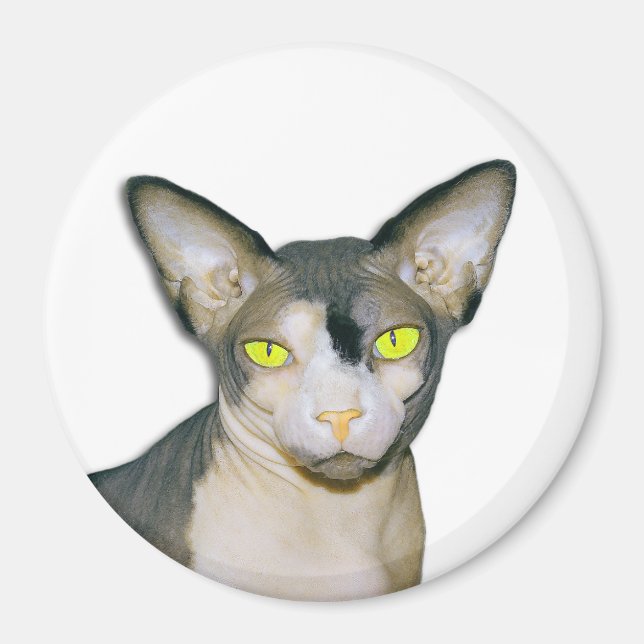 Sphynx Cat Ninja White Round Magnet (Framsidan)