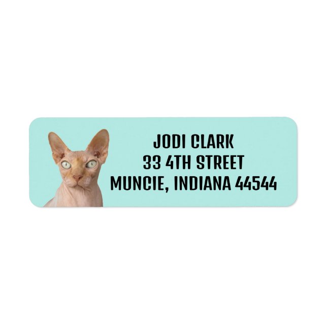 SPHYNX CAT-RETURETIKETTER RETURADRESS ETIKETT (Framsidan)