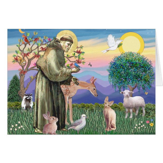 Sphynx Cat - St Francis Hälsningskort (Framsidan Horizontal)