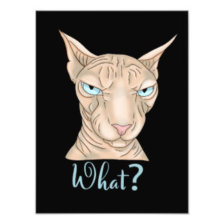 Sphynx Cat. Vad då? Fototryck