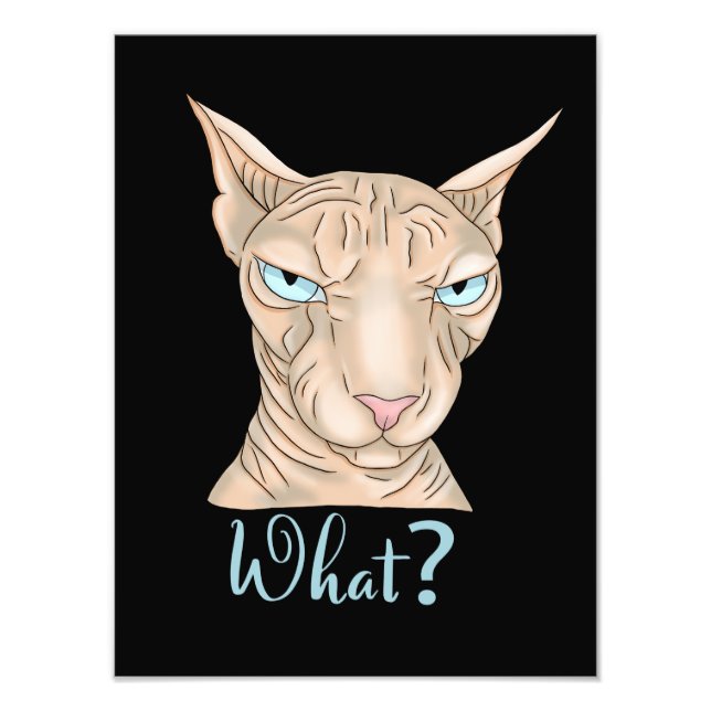 Sphynx Cat. Vad då? Fototryck (Framsidan)