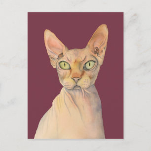 Sphynx Cat Watercolor Porträtt Vykort