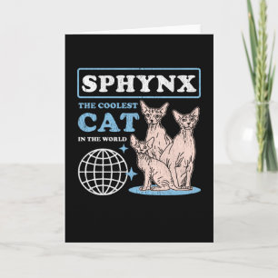 Sphynx Coolest Cat   Sphynx Cats Kort