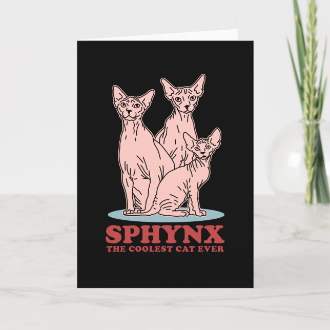 Sphynx, den kolaste katten | Sphynx Cats Kort (Framsida)