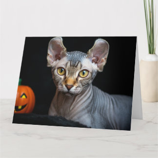 Sphynx Elf Katt Foto Glad Halloween-kort Tack Kort