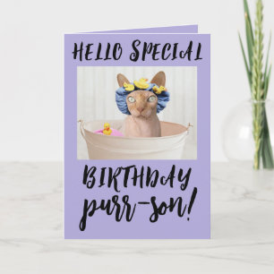 SPHYNX HAIRLESS CAT BIRTHDAY GREETDS CARDS KORT