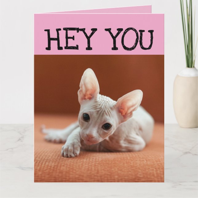 SPHYNX HAIRLESS CAT KITTEN BIRTHDAY GREETARD KORT (Framsida)