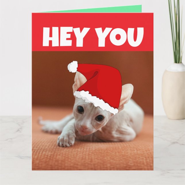 SPHYNX HAIRLESS CAT KITTEN CHRISTMAS-KORT KORT (Framsida)