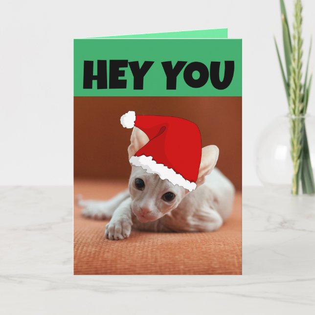 SPHYNX HAIRLESS CAT KITTEN CHRISTMAS-KORT KORT (Framsida)