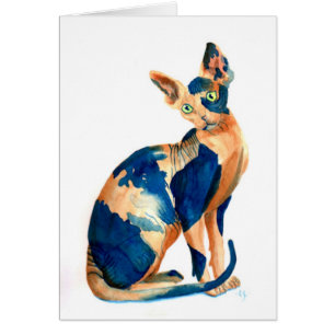 Sphynx katt 6 hälsningskort