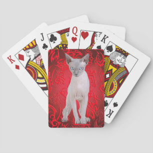 Sphynx katt casinokort