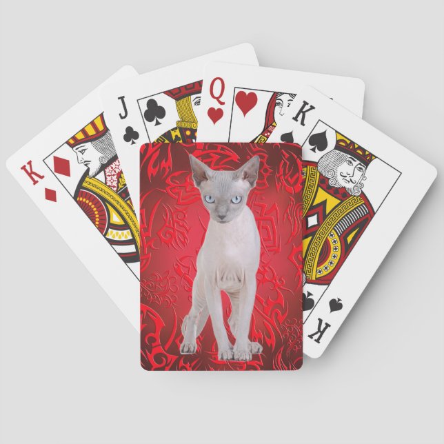 Sphynx katt casinokort (Baksidan)