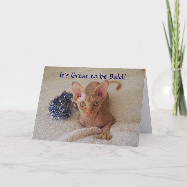 Sphynx Katt Hårlös Kemoterapi Humor Kort (Framsida)