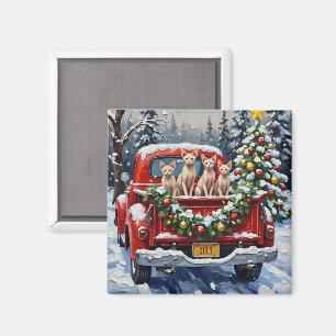 Sphynx Katt Jul Röd Lastbil Holiday Magnet