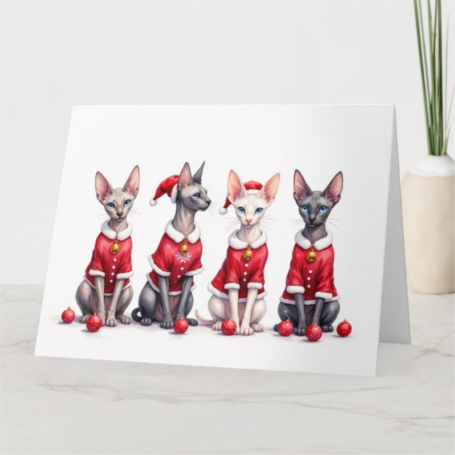 Sphynx Katt Juldräkt Tomtehatt Kort (Framsida)