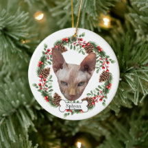 sphynx-katt