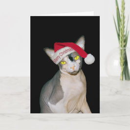 Sphynx Katt Jultomte Svart Jul Kort