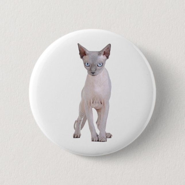 Sphynx-katt Knapp (Framsida)