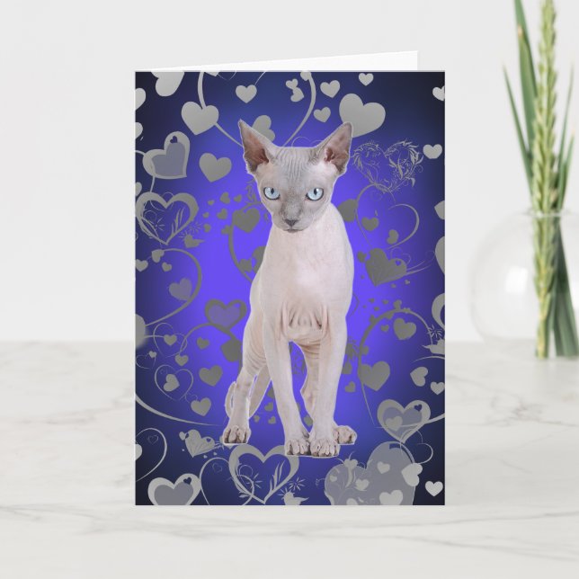 Sphynx-katt Kort (Framsida)