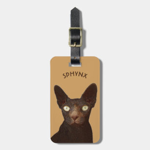 Sphynx katt med den abstrakt teckningen för gula bagagebricka