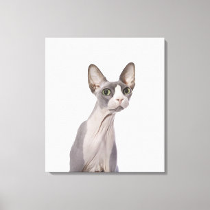 Sphynx katt med förvånadt uttryck canvastryck