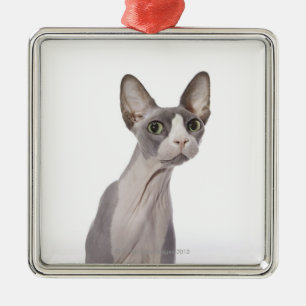 Sphynx katt med förvånadt uttryck julgransprydnad metall
