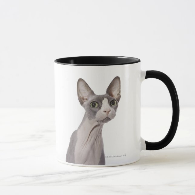 Sphynx katt med förvånadt uttryck mugg (Höger)