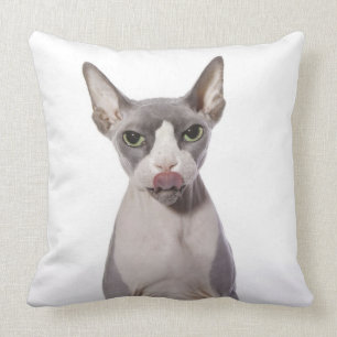 Sphynx katt med tungan ut kudde