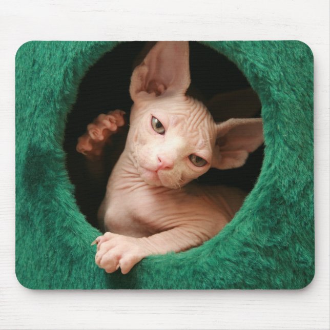 Sphynx katt Mousepad | GoSphynx.com Musmatta (Framsidan)