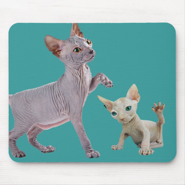 Sphynx katt Mousepads Musmatta (Framsidan)