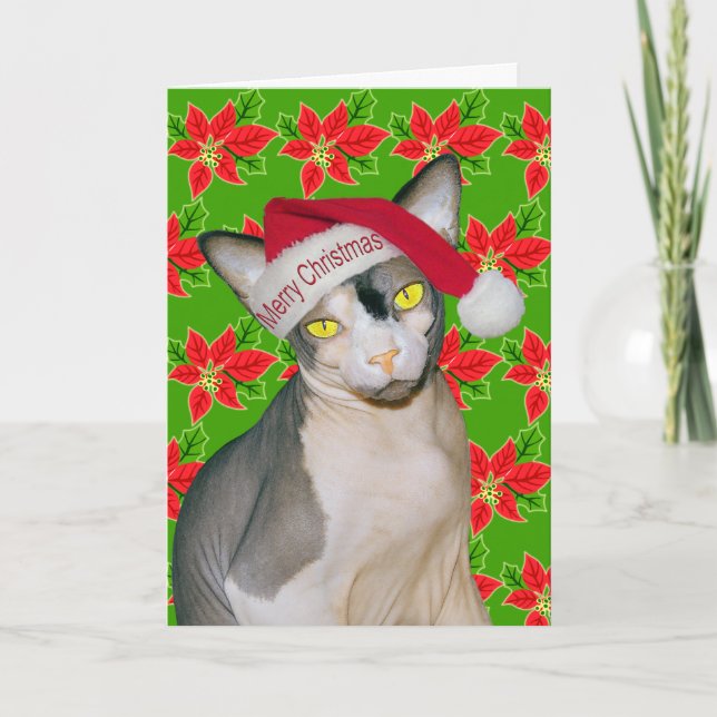 Sphynx Katt Ninja Tomte Jul Holi Grön Kort (Framsida)