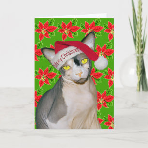 Sphynx Katt Ninja Tomte Jul Holi Grön Kort