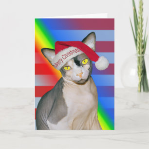 Sphynx Katt Ninja Tomte Jul Regnbåge Kort